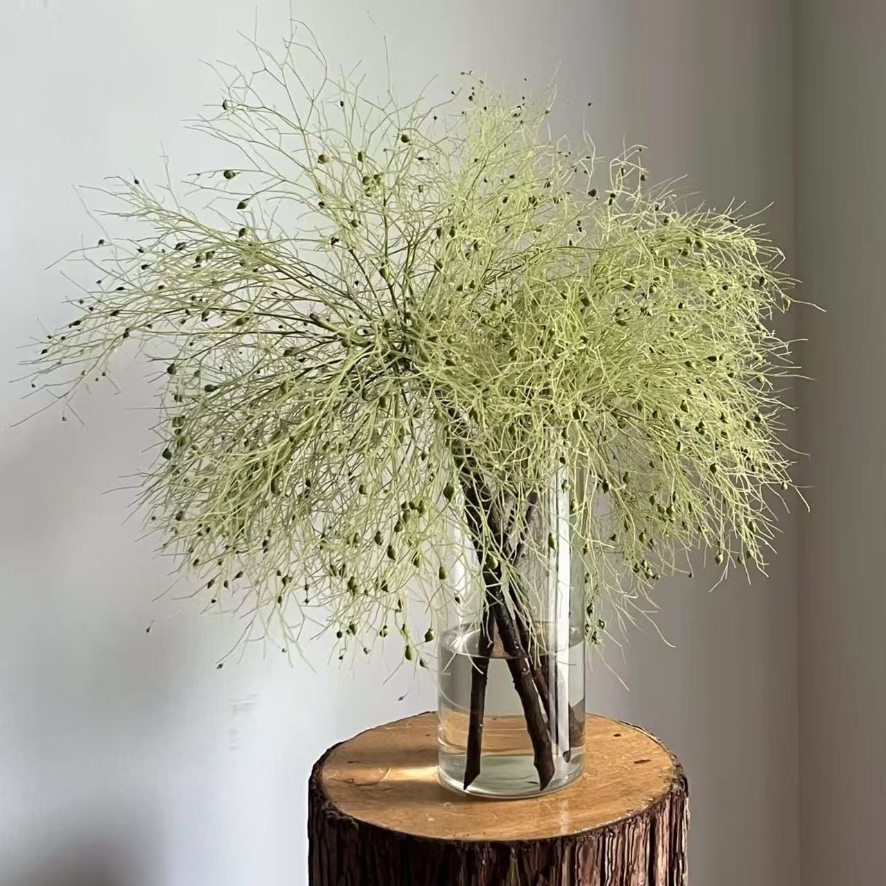 【柔丝】高级小众水培鲜花可做干花