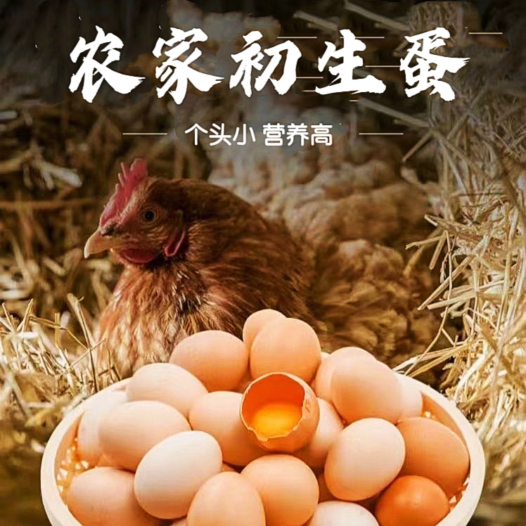 [初生蛋] 正宗农家散养新鲜初生小个土鸡蛋