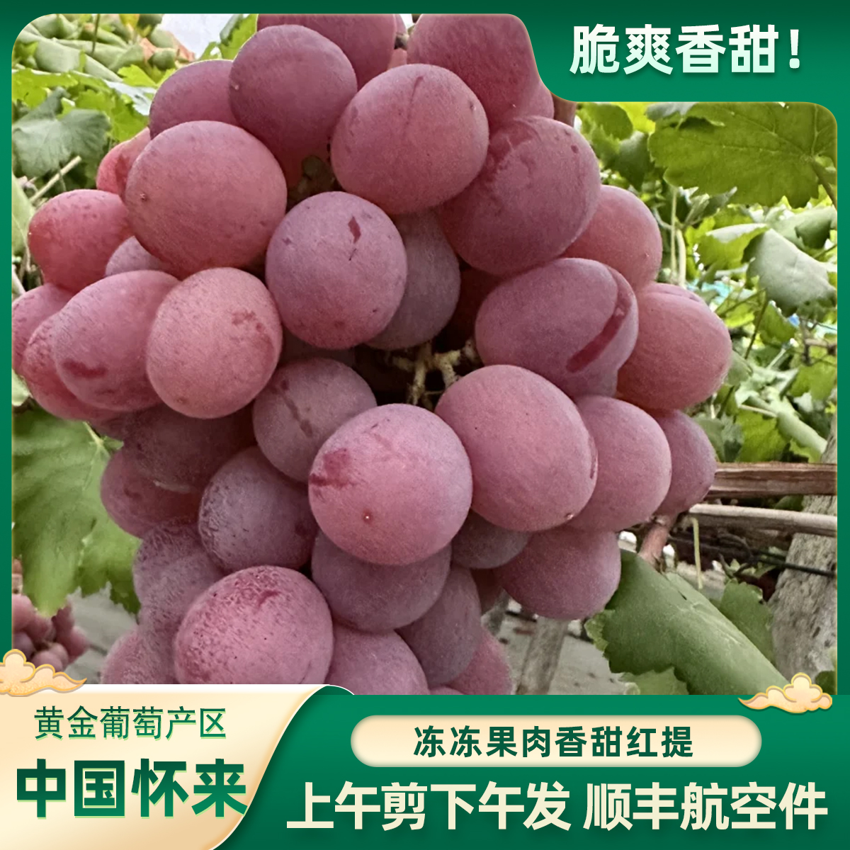 【八斤专享】红提葡萄怀来葡萄张家口特产顺丰极速发