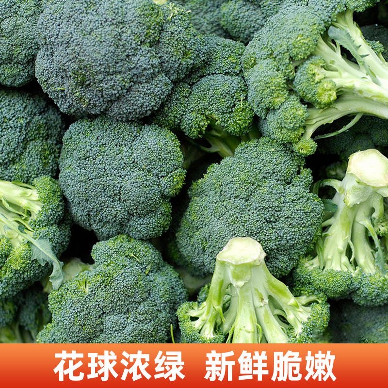 【西兰花】露天种植现摘现发新鲜绿花菜青花菜原产地直发营养健康