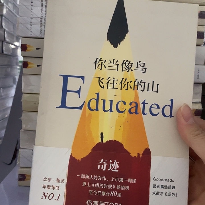 你当像鸟。平装带塑封