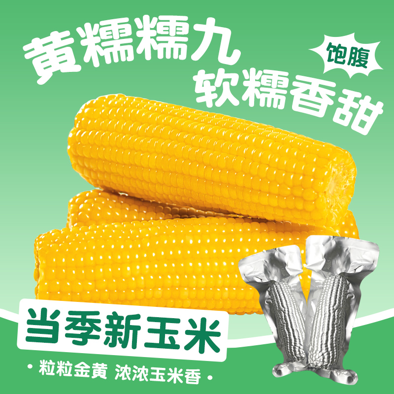 试吃4根整箱14根铝箔25年头茬新玉米博斯糯9号东北黄糯玉米