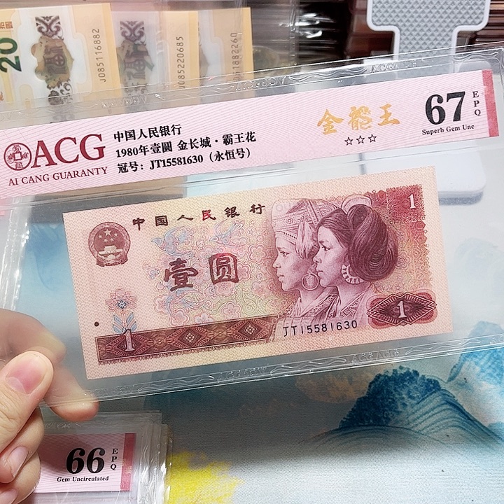 15581630。。。。。无47