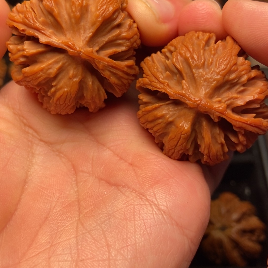 文玩核桃把件秦岭山脉核桃