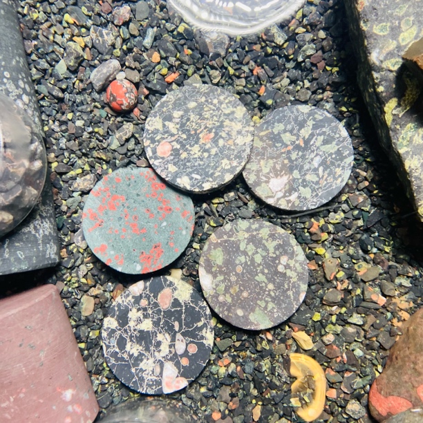 安山岩梅花玉鱼缸石【圆片】5-7厘米直径随机发鱼缸鱼缸溪流石底砂