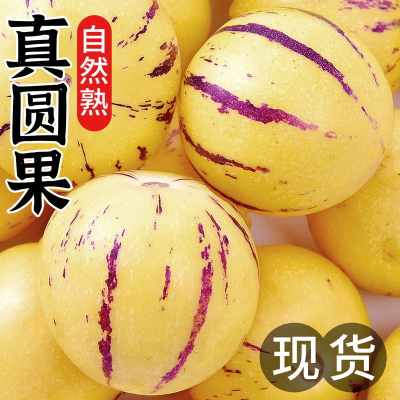 云南石林人参果树上熟圆果黄肉新鲜清甜多汁当季水果