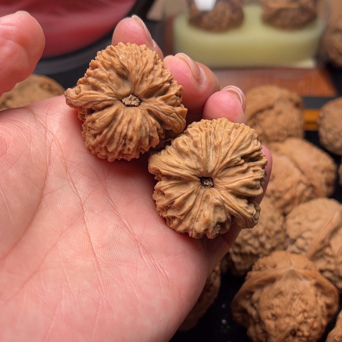 核桃把件南疆36尺寸