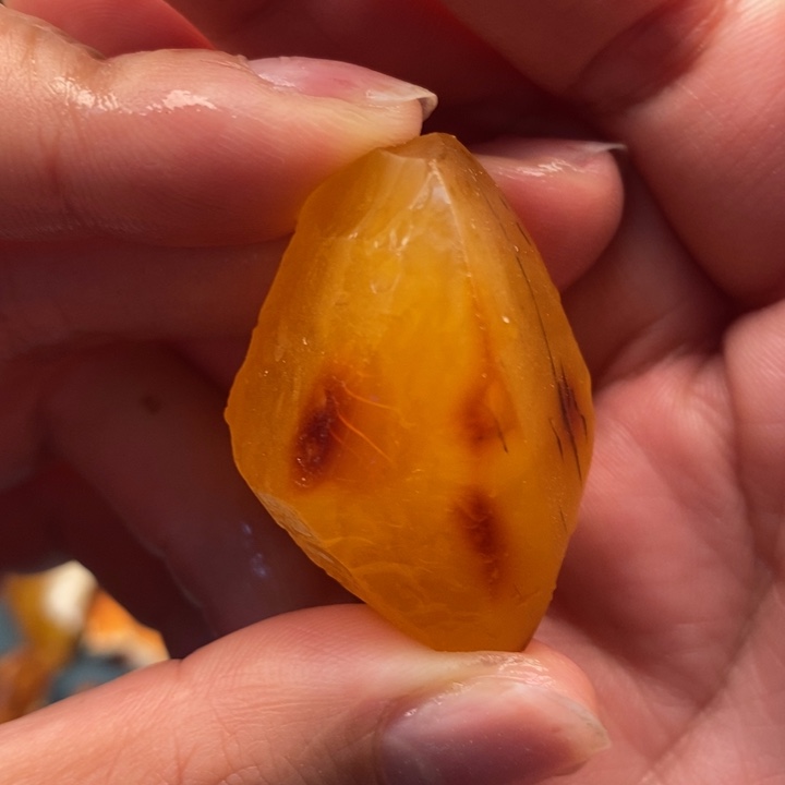 定制琥珀未镶嵌蜜蜡