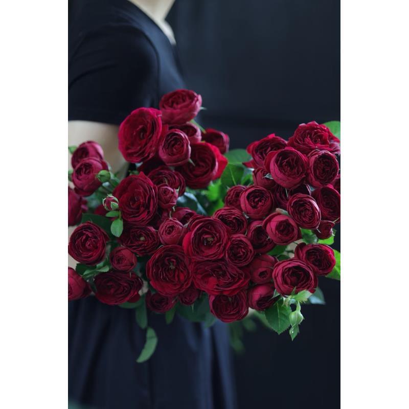 x【红蕾丝】雪姐专属  一单中通两单升级顺丰/德邦+保鲜剂5包+配草