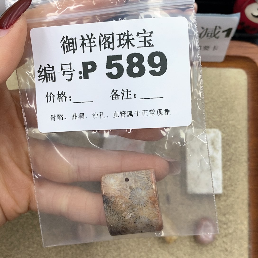 硅化珊瑚（珊瑚玉）P未镶嵌一***森