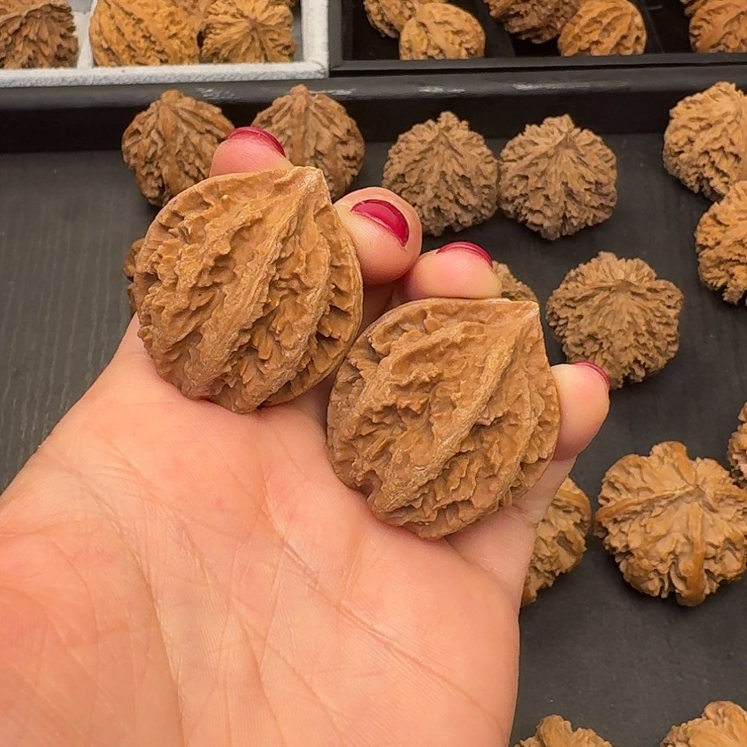 核桃突突突突突突突