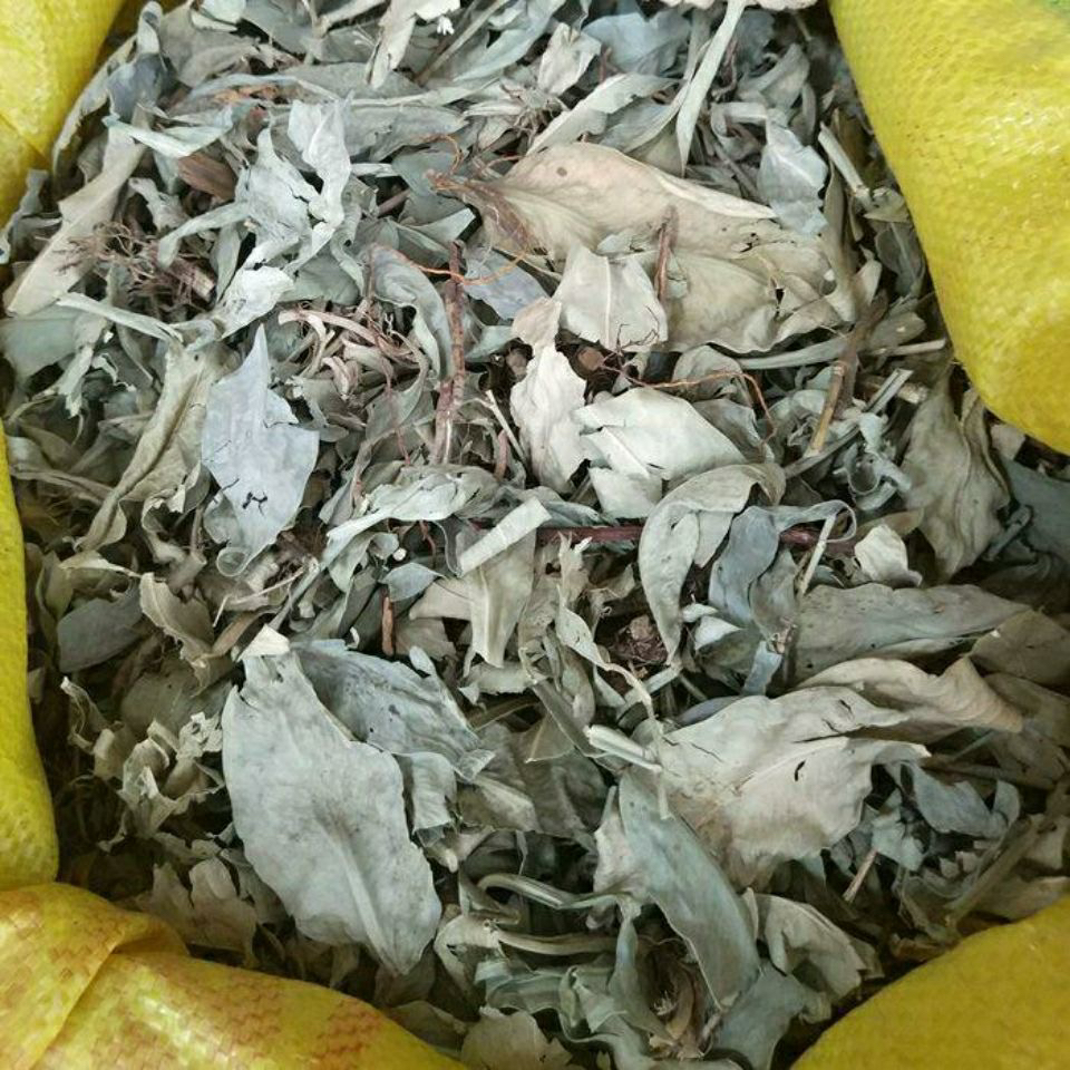 广西石柑子石蒲藤中草药 石甘子 巴岩香 青蒲芦茶石葫芦500克