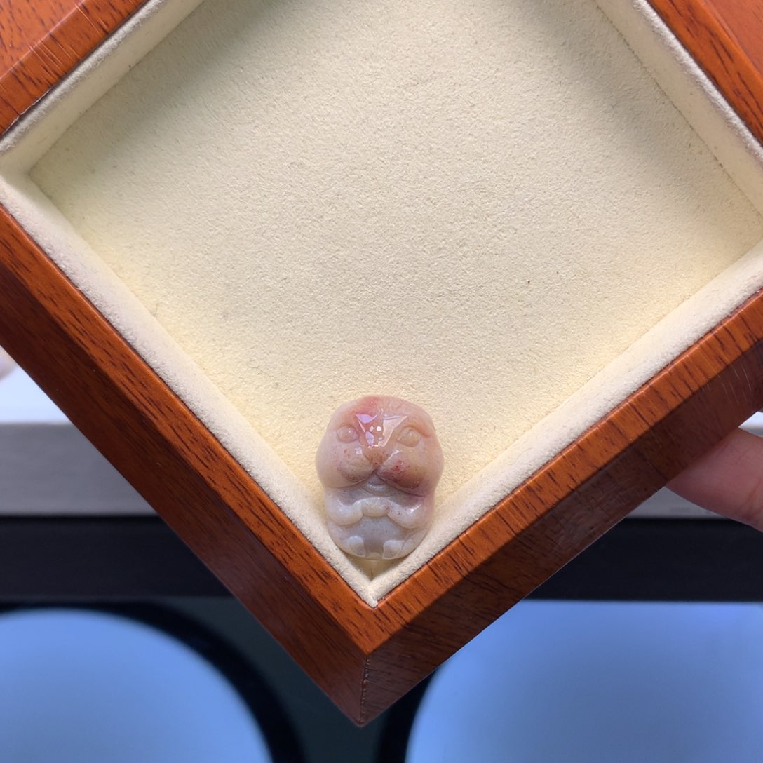 硅化珊瑚（珊瑚玉）颈饰未镶嵌