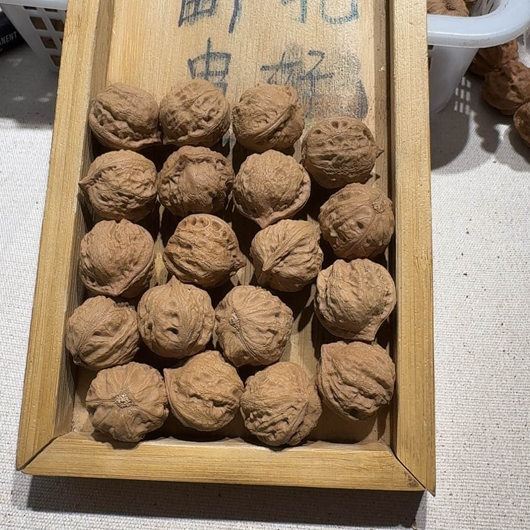 核桃手串/手链9号边23手持