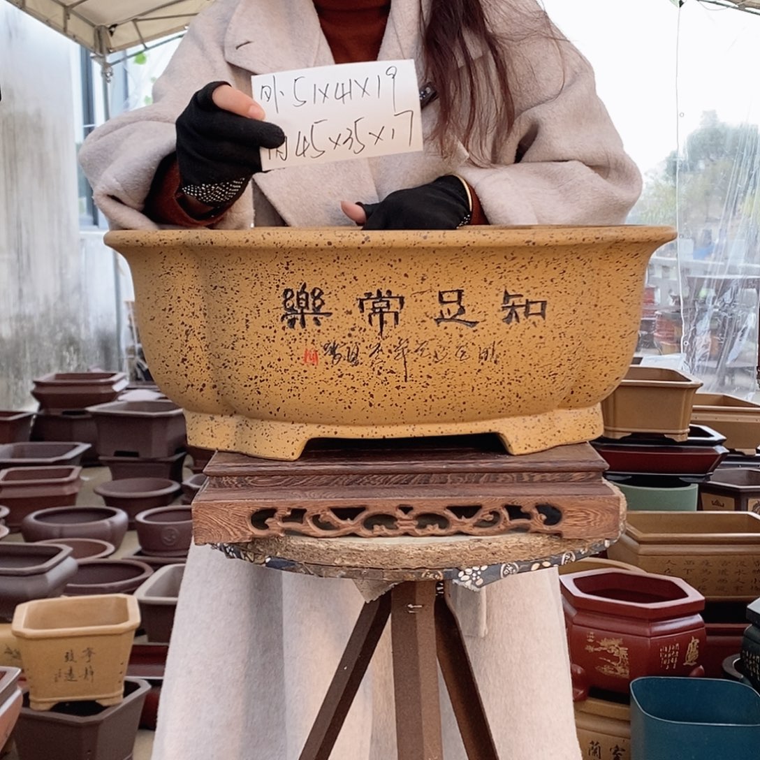 紫砂花盆紫砂花盆