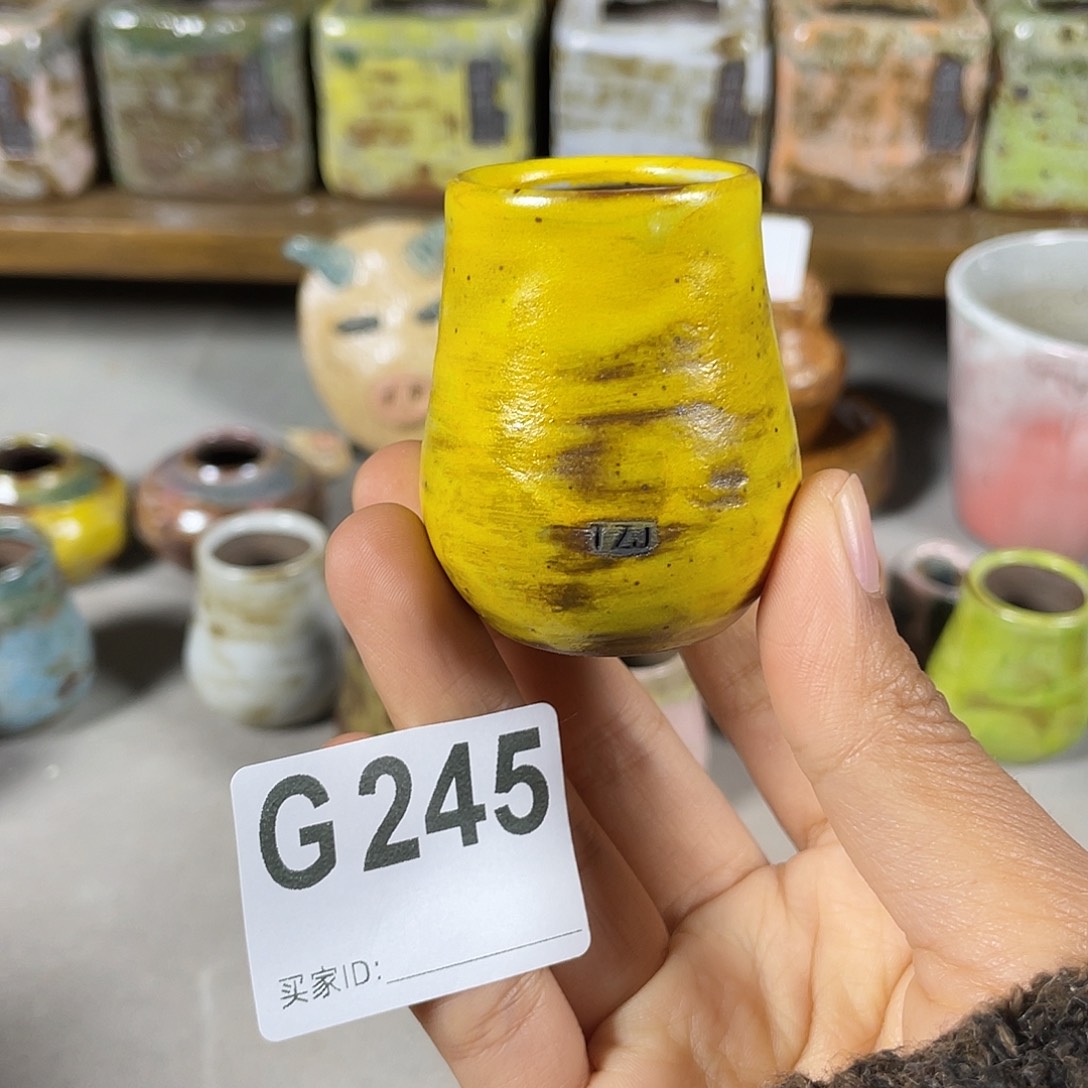 坛子姐多肉花盆拇指盆 内口2.7