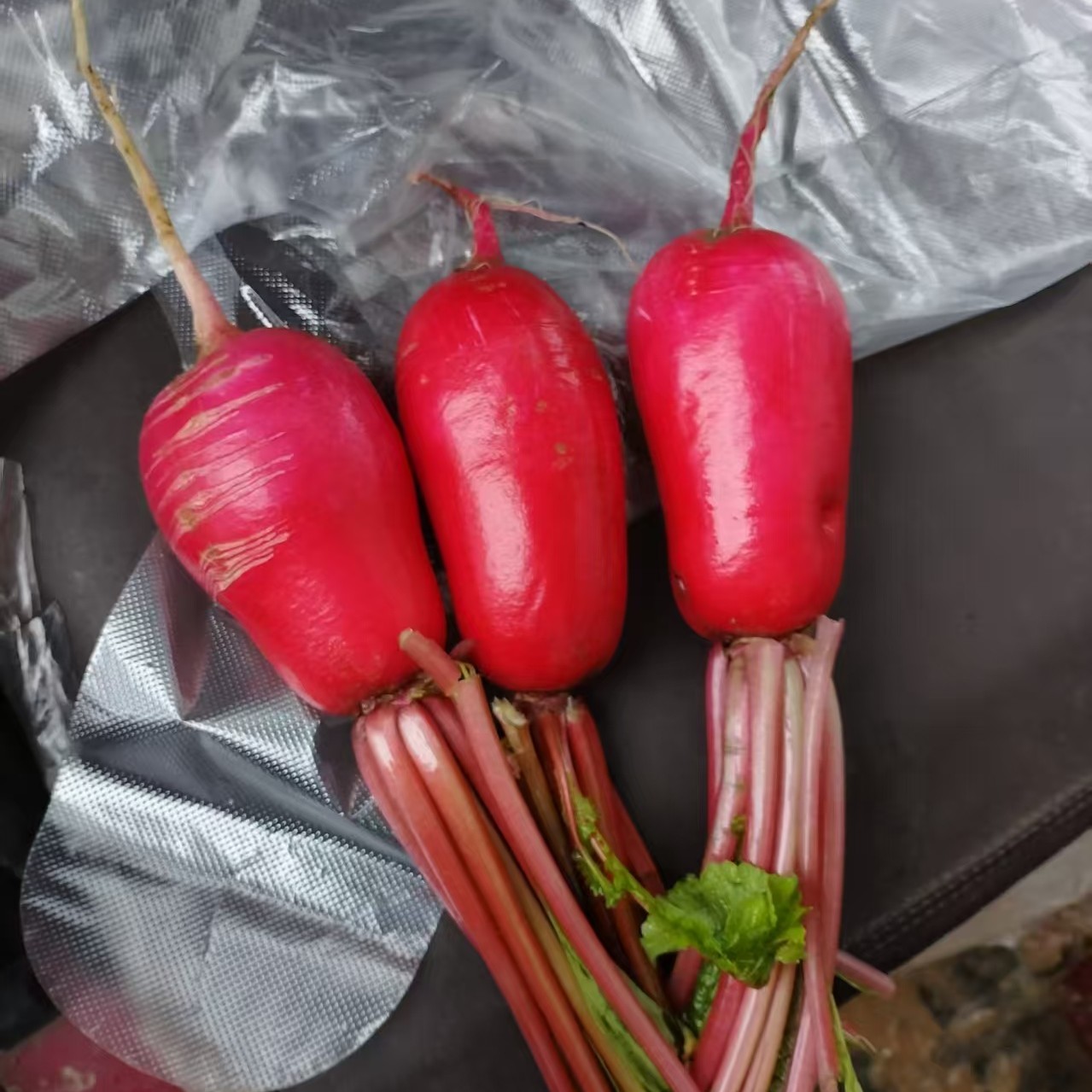 贵州农家露天自种红皮萝卜新鲜现挖可腌可生吃可炖排骨