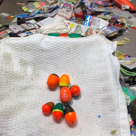 七个阿波开始拍啦