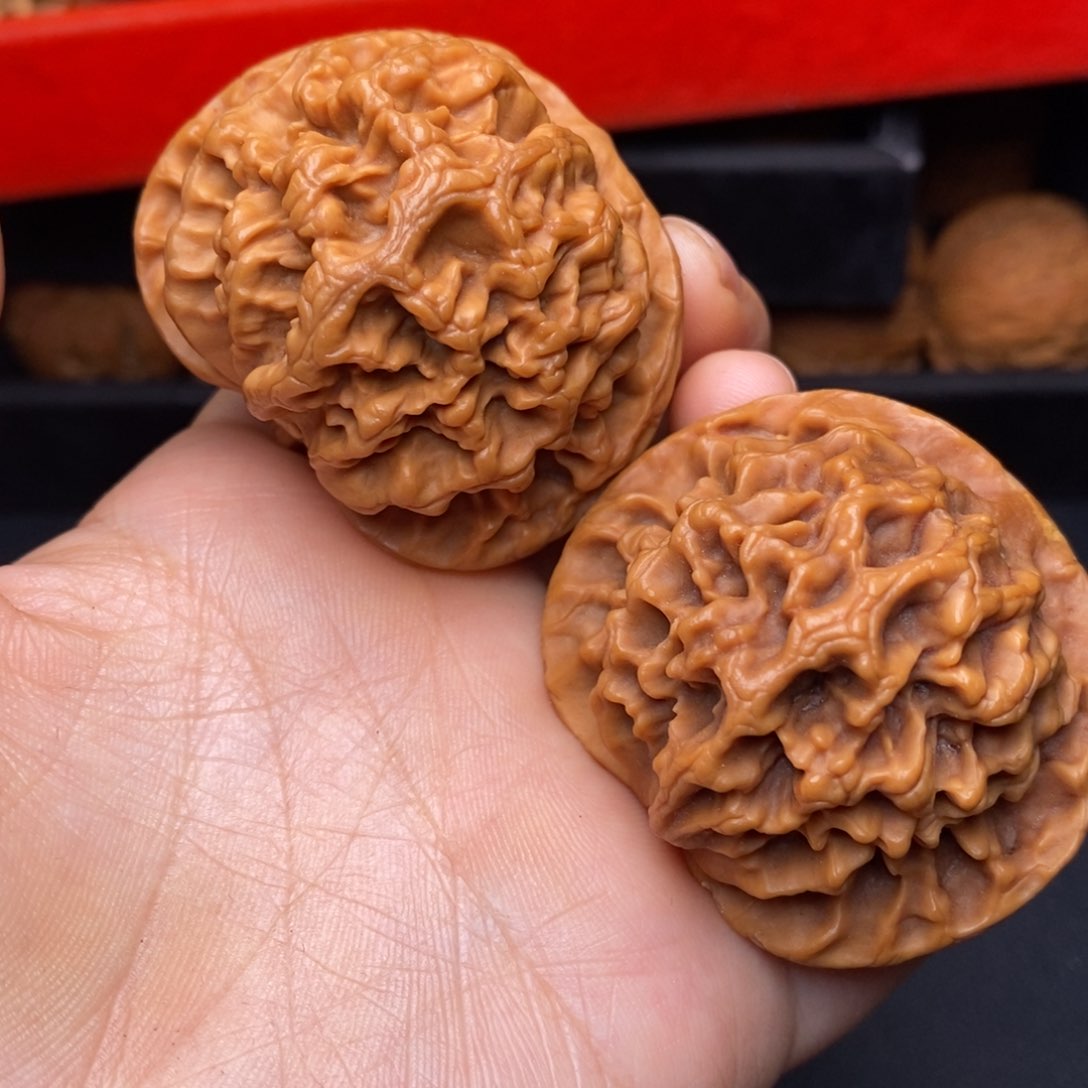 文玩核桃把件秦岭野生核桃