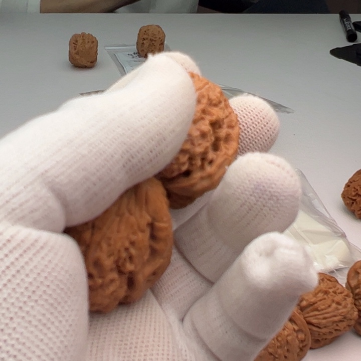 文玩核桃把件南**北暴雪242