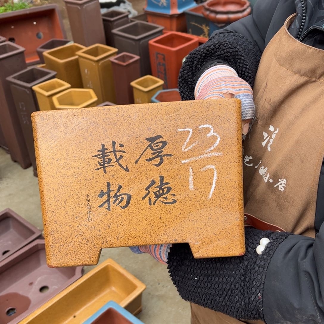 紫砂花盆盆景艺术