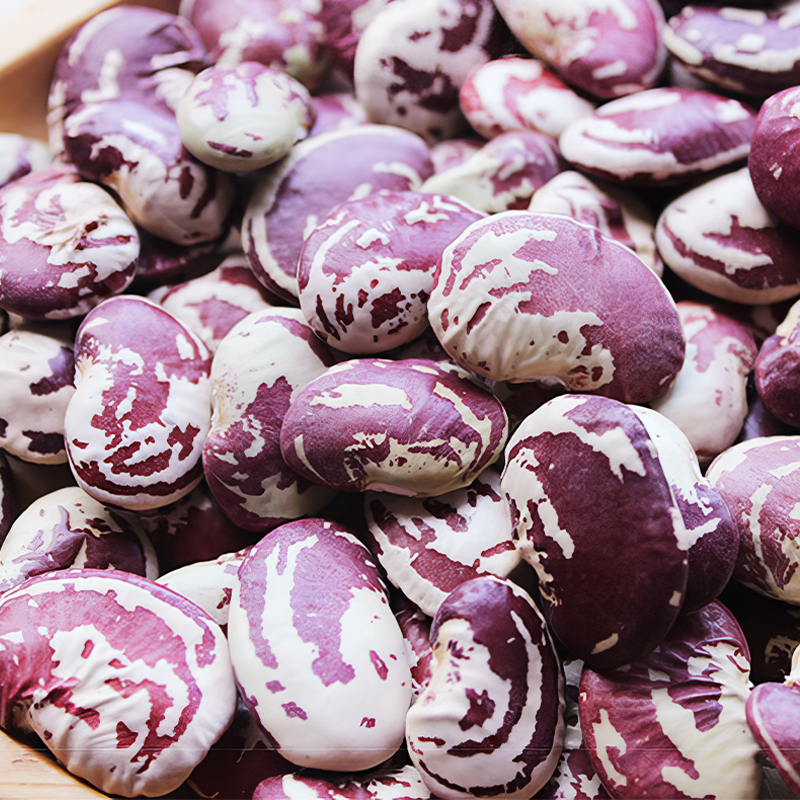 云南大荷包豆 大肾豆花豆 农家新鲜大花芸豆状元豆大红豆散装煲汤