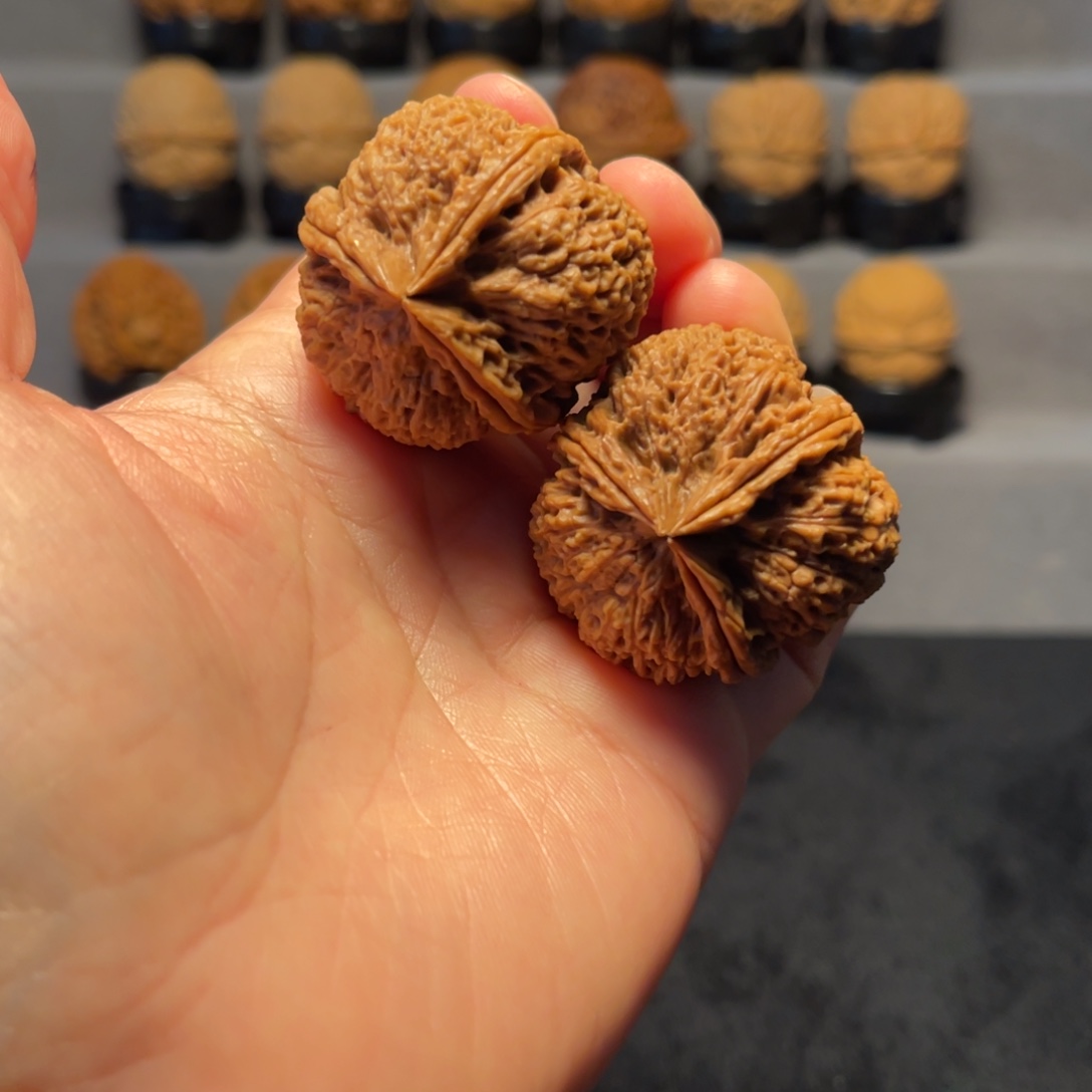 文玩核桃把件26-12