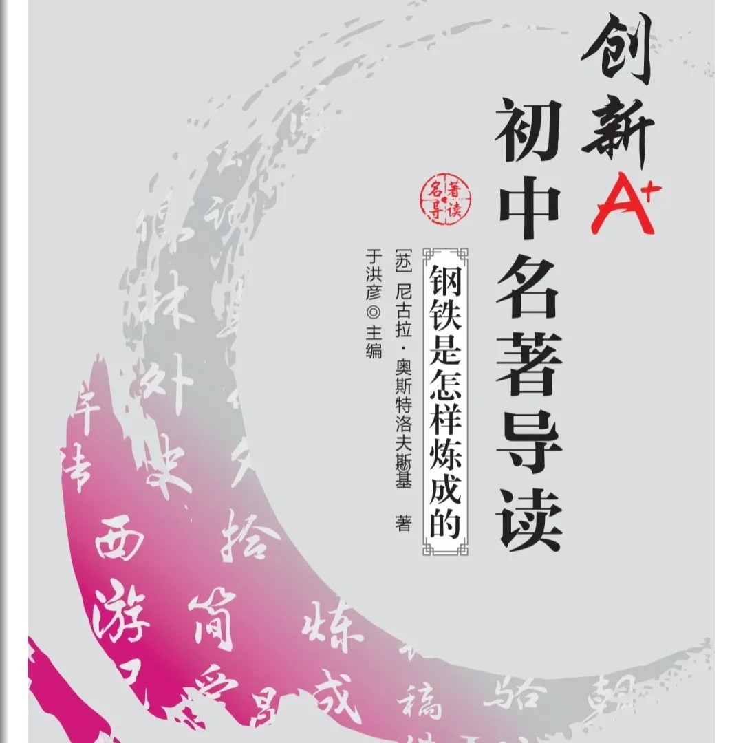 初中名著钢铁是怎样炼成的创新A+版视角思维导图评点批注