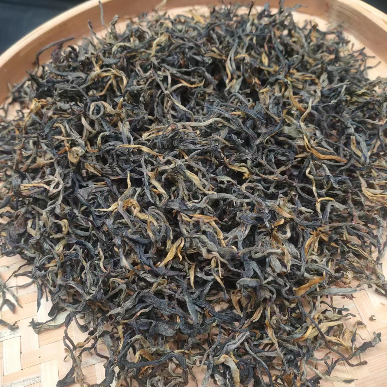 【荒山红茶】2021年春红茶2月5日【25号】