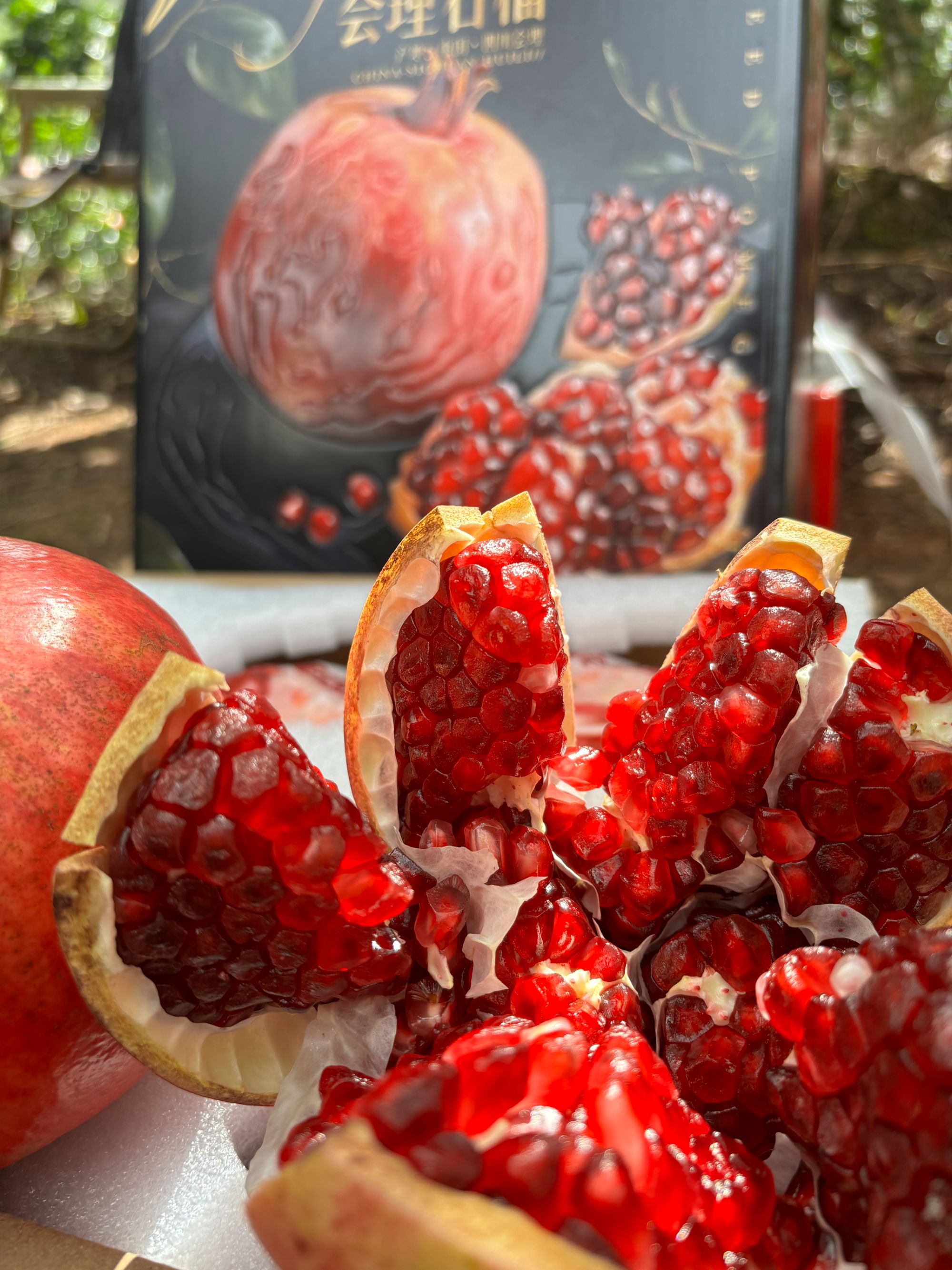 【现摘】四川会理突尼斯软籽石榴精美礼盒包装带箱10斤（土豪果）