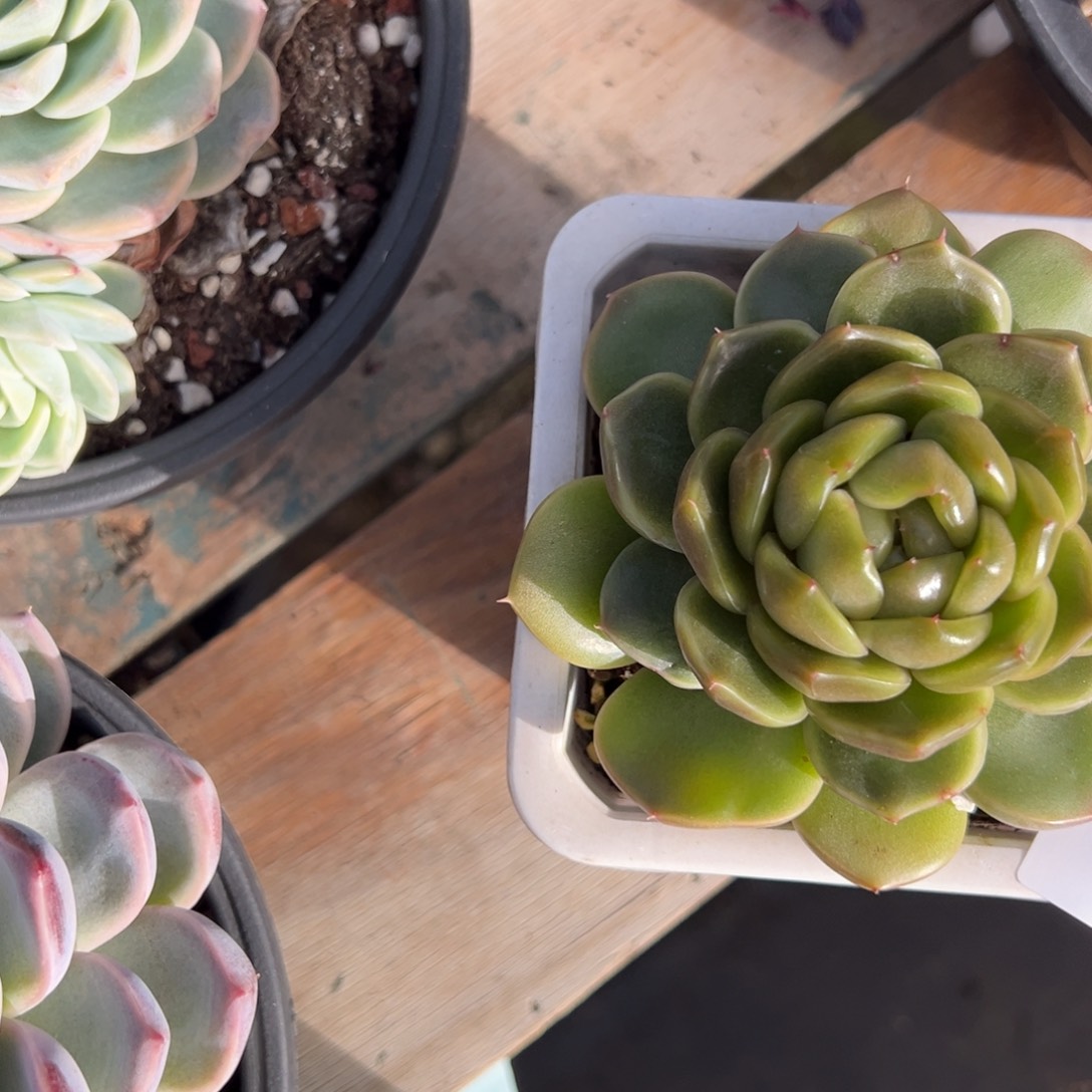 日***?5163肉肉肉肉肉肉肉肉