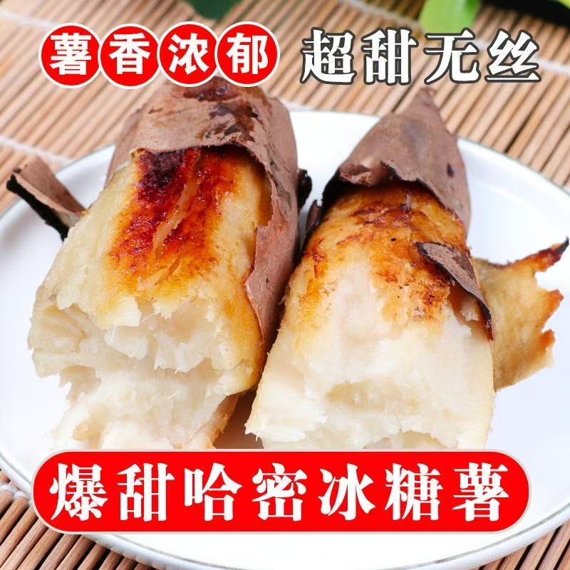 正宗新鲜白哈密红薯现挖现发香甜软糯