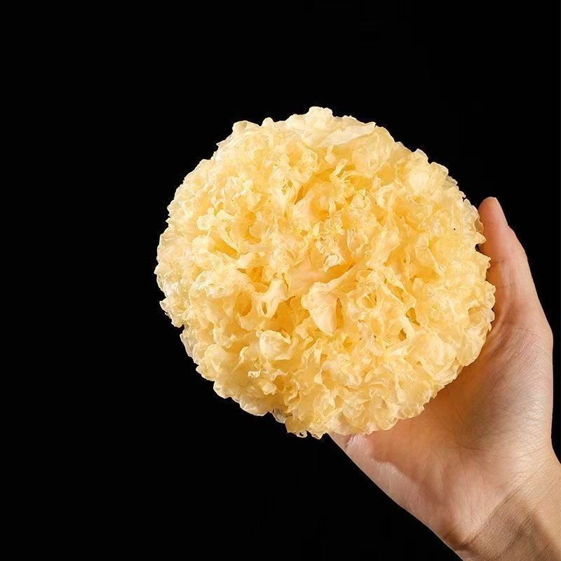 银耳袋装煲汤食材干货