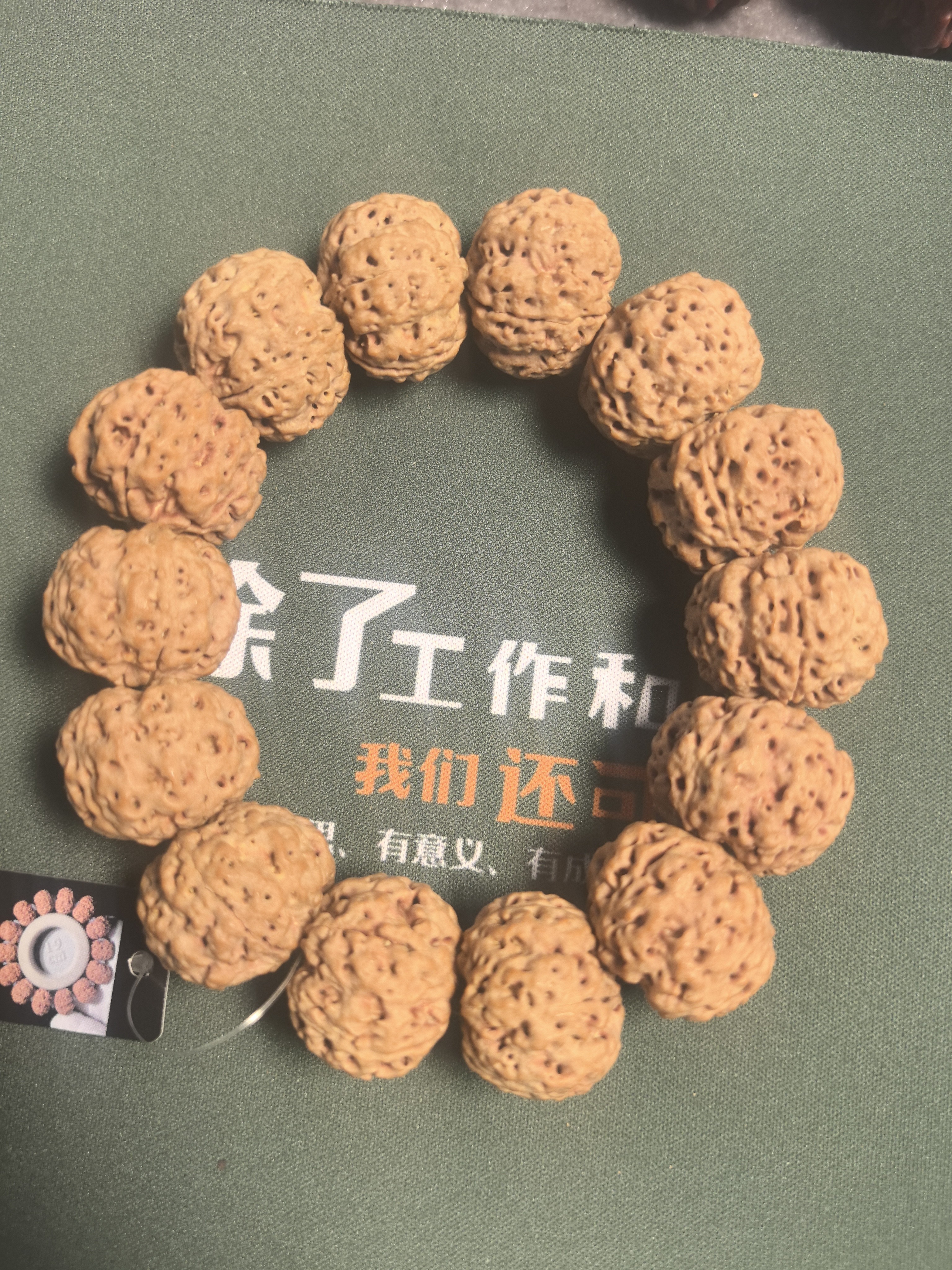 五星蜂王，尺寸25.高油高密