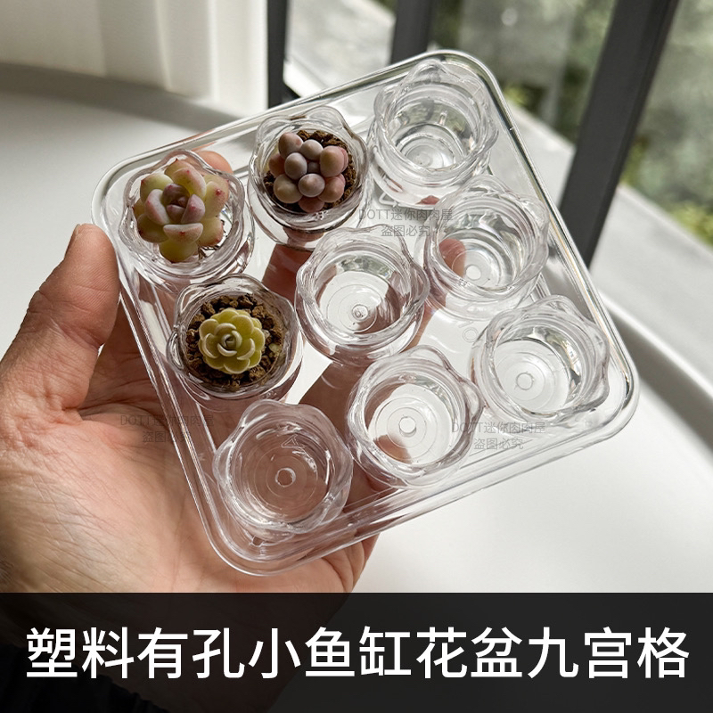 透明塑料小鱼缸拇指盆带托盘套装迷你可爱多肉控养高颜值小花盆
