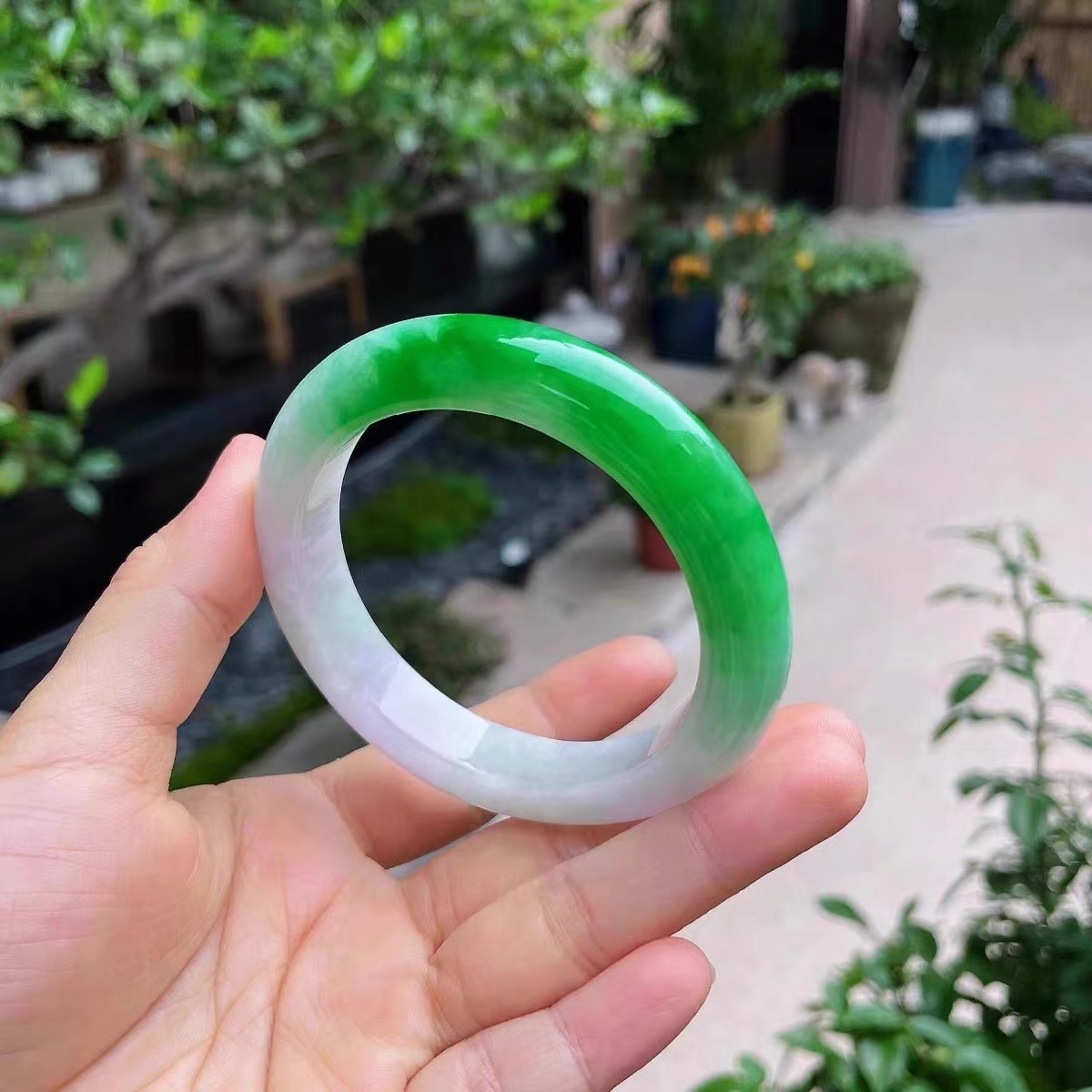 MAI 时尚缅风美人翠手镯【直播专用链接】