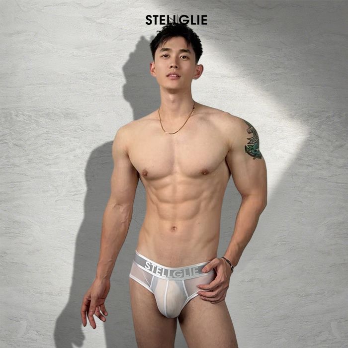 stellglie冰丝网纱三角提臀透气软支撑性感中低腰美体男三角内裤