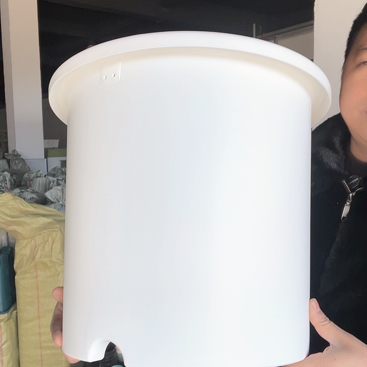 塑料爱丽思14号白2个无托