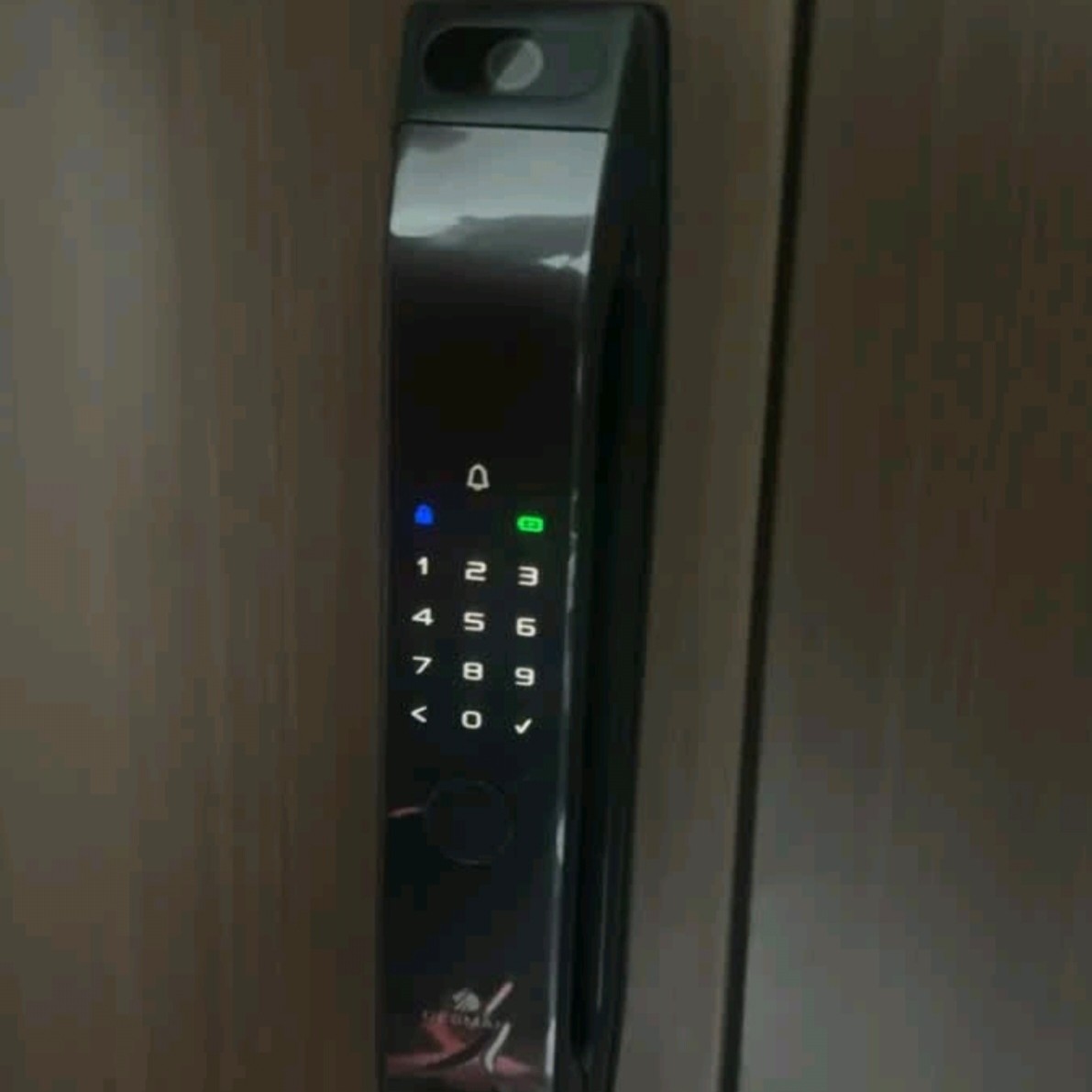 指静脉猫眼智能锁家用大门密码锁全自动远程电子锁