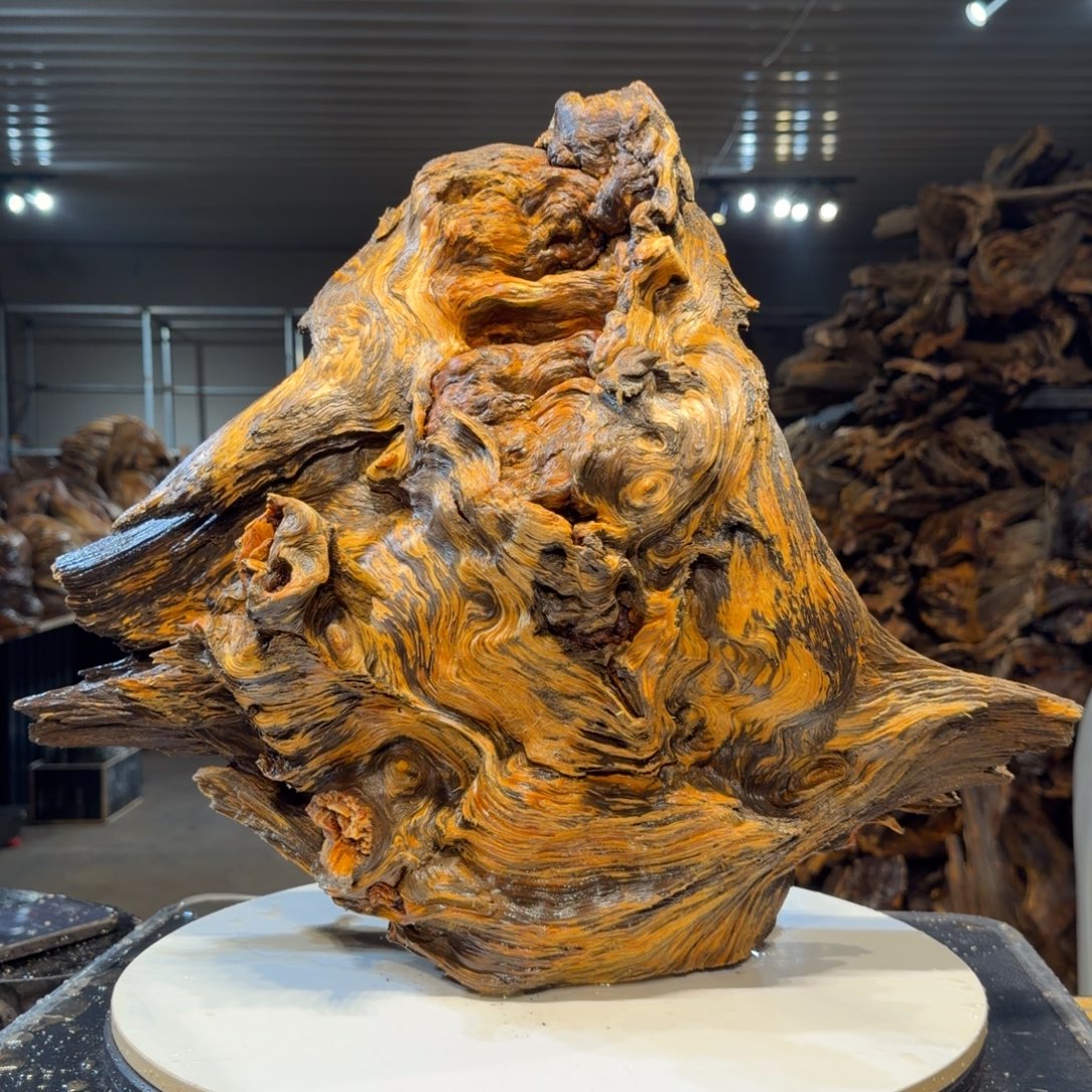 鹰***9木王一刀琥珀木摆件93