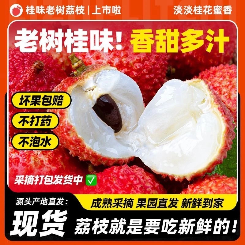 【京东冷链】东莞观音山桂味荔枝新鲜头茬果，整箱净果1-5斤冷链发L