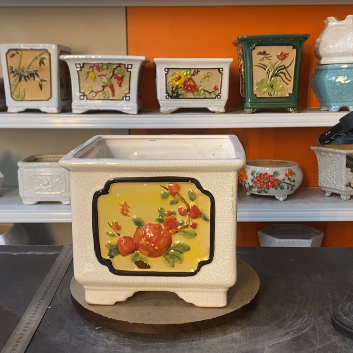 红陶王*利花盆里的小猫咪