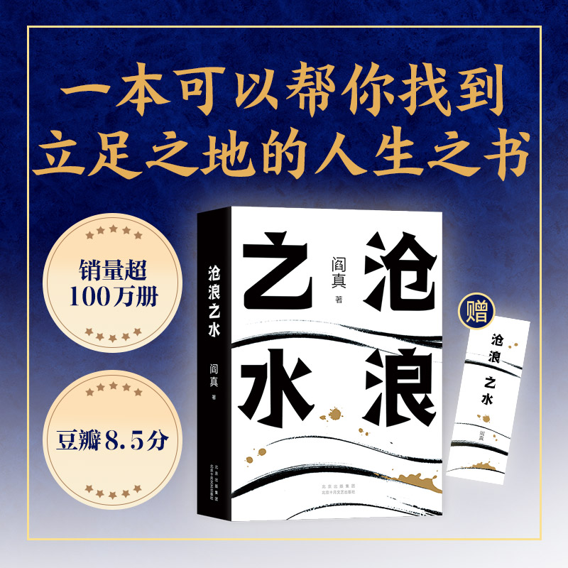 沧浪之水职场考公人的启蒙之书经典职场官场小说《岁月》原著阎真著