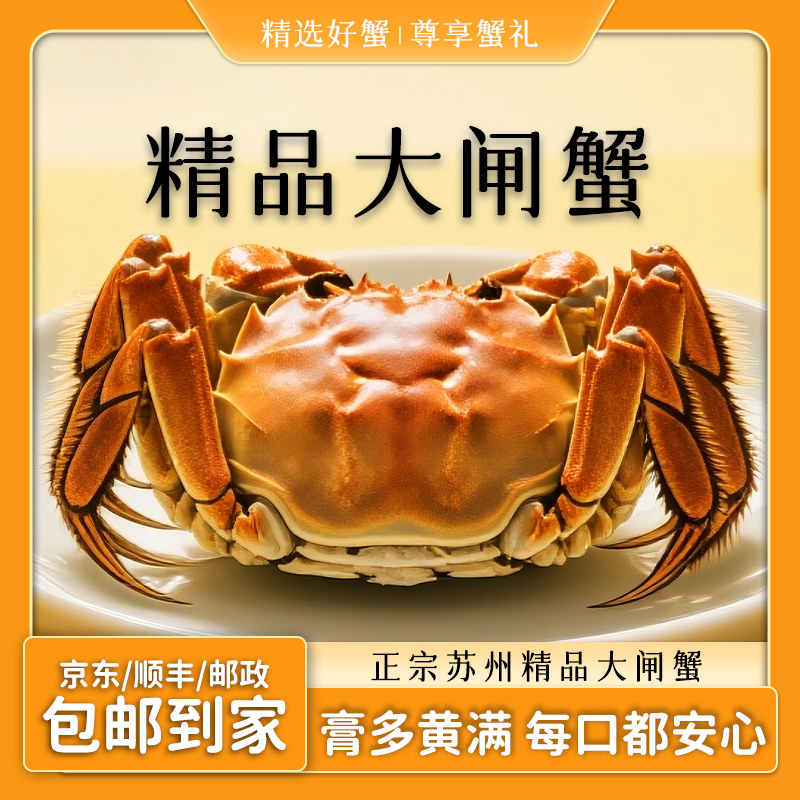 【活蟹】战鲜生大闸蟹 全母蟹 3.3-3.6两 10只装