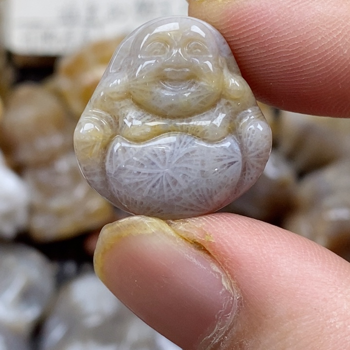 颈饰未镶嵌硅化珊瑚（珊瑚玉）小