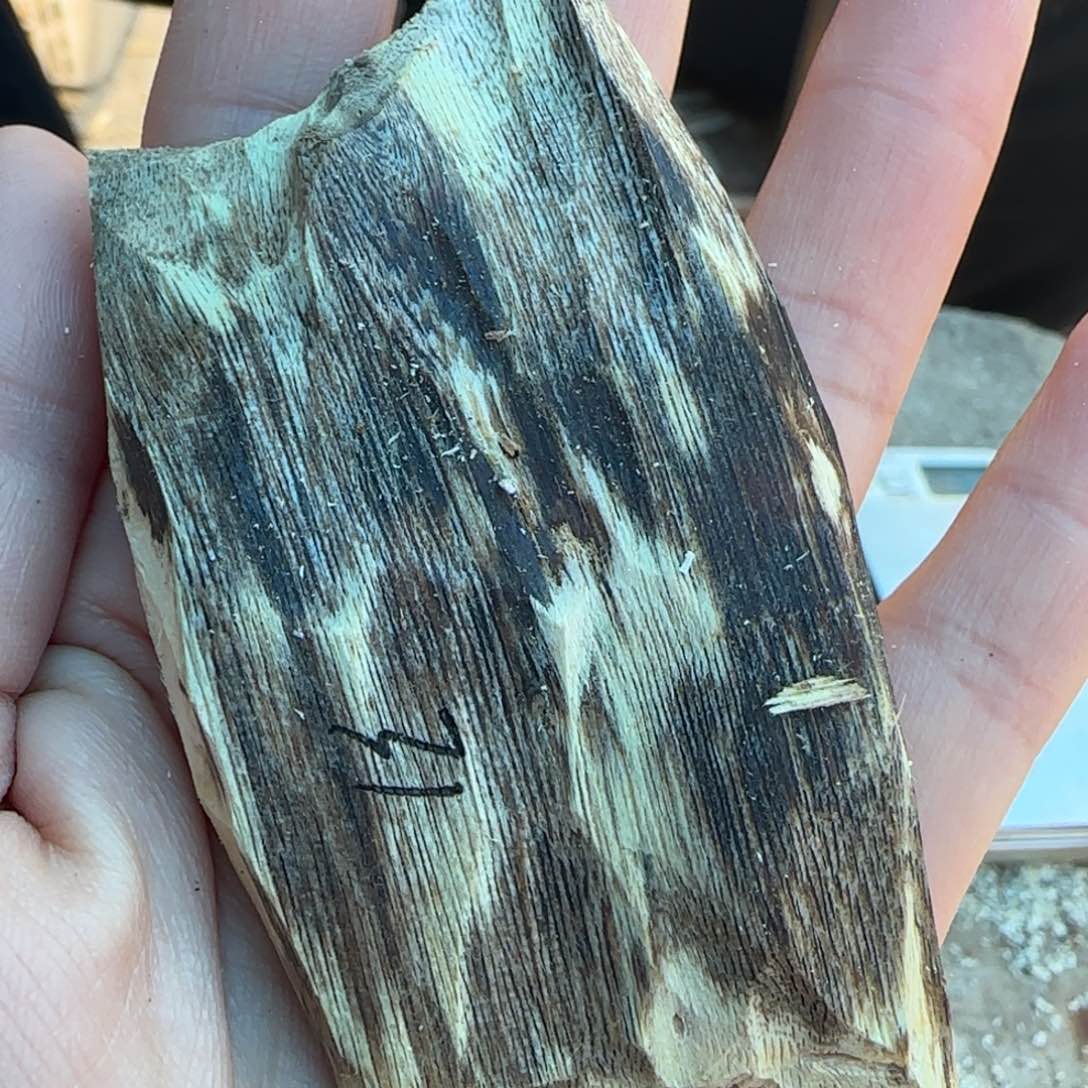 树脂制品31奇楠原木一个