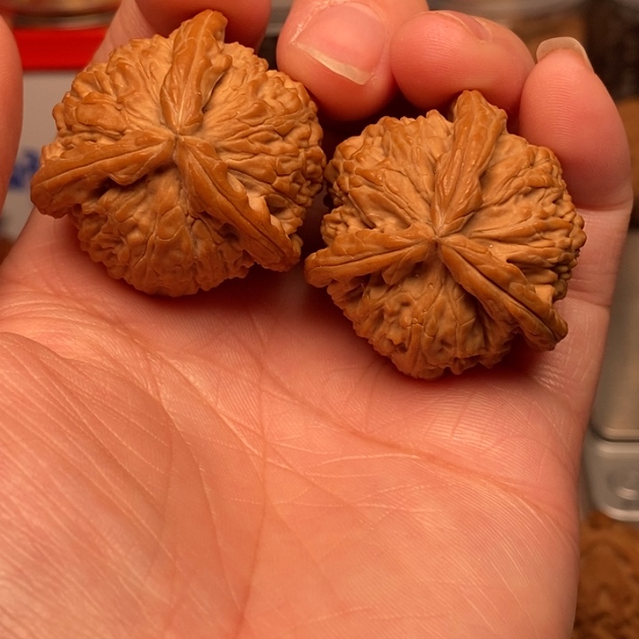 文玩核桃吊坠k**o白本