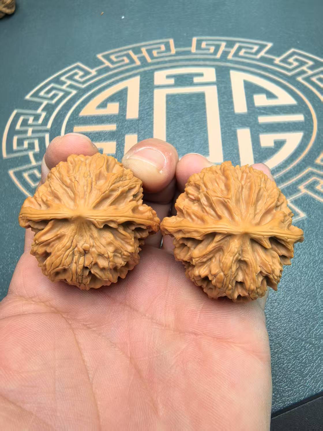 文玩核桃 苹果园