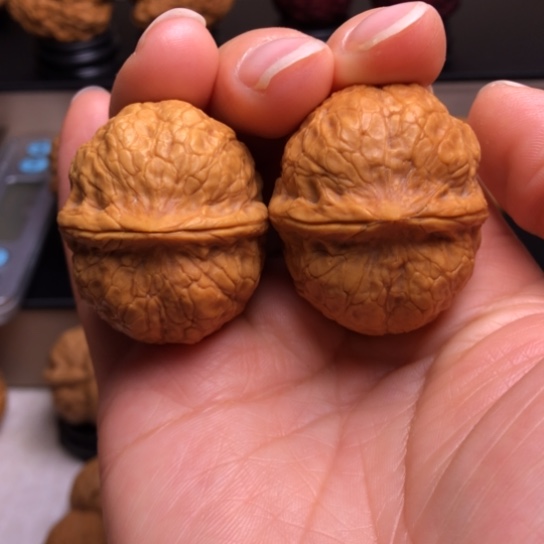 文玩核桃把件金甲龟龙25