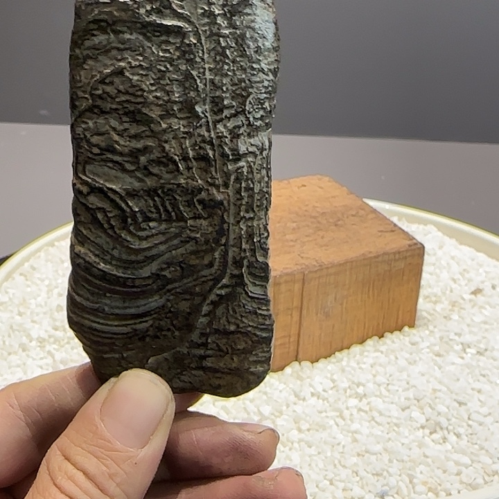 F***.有机玻璃555555555555